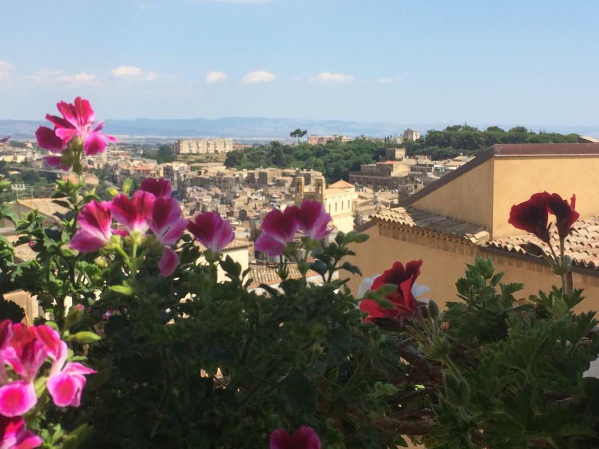 Il Piccolo Attico Bed & Breakfast Caltagirone Ngoại thất bức ảnh